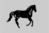 Pferd 1